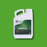 ROKSAL