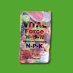 Vital Force
